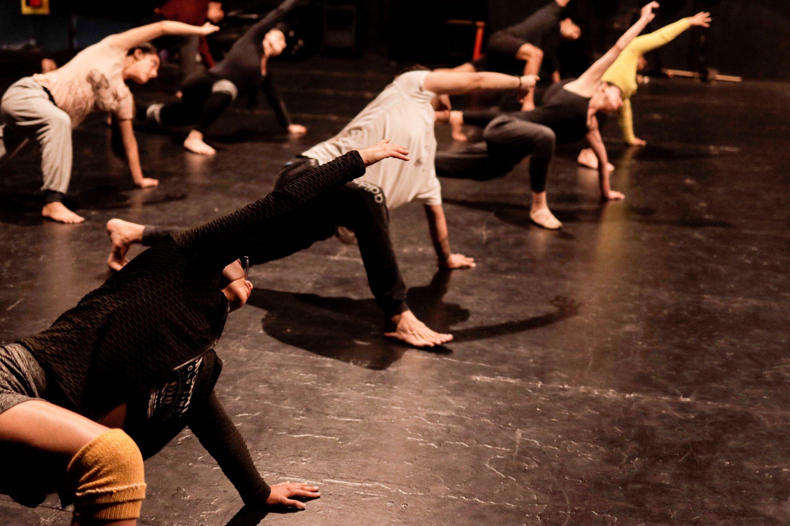 DANZAMOS TEJIENDO TERRITORIOS